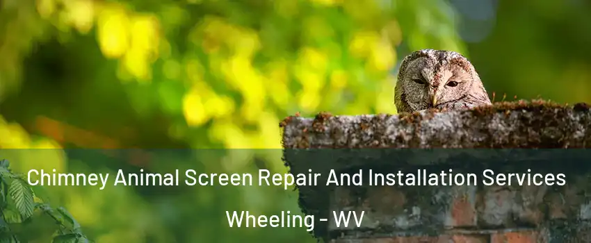  Chimney Animal Screen Repair And Installation Services Wheeling - WV