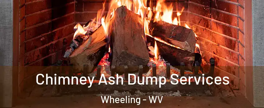 Chimney Ash Dump Services Wheeling - WV