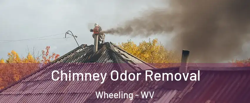  Chimney Odor Removal Wheeling - WV