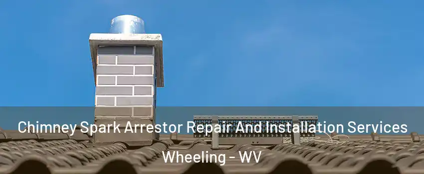  Chimney Spark Arrestor Repair And Installation Services Wheeling - WV