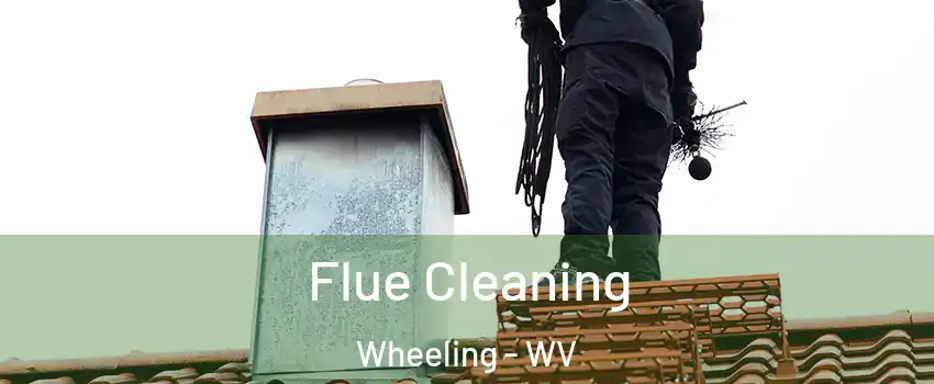  Flue Cleaning Wheeling - WV