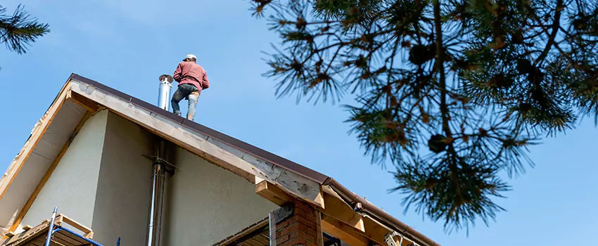 Birds Removal Contractors from Chimney in Wheeling, WV