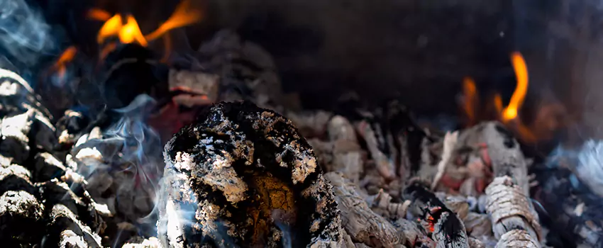 Creosote Removal Experts in Wheeling, WV