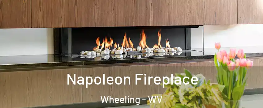  Napoleon Fireplace Wheeling - WV
